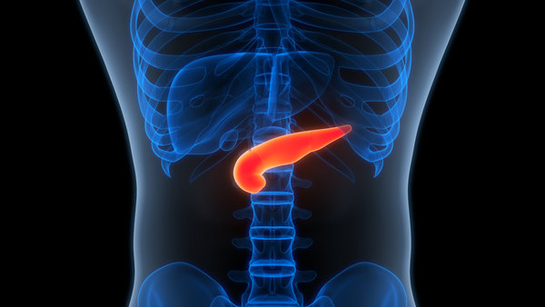 Optimising Your Diet For Pancreatic Health: A Comprehensive Guide